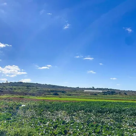 Sea View & Countryside In